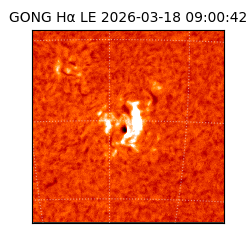 gong - 2026-03-18T09:00:42