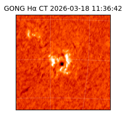 gong - 2026-03-18T11:36:42