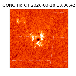 gong - 2026-03-18T13:00:42