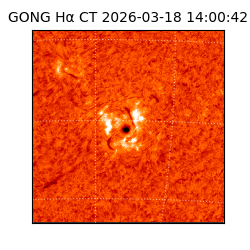 gong - 2026-03-18T14:00:42