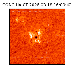 gong - 2026-03-18T16:00:42