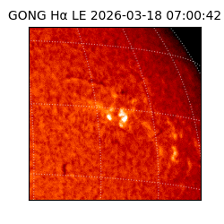 gong - 2026-03-18T07:00:42