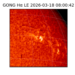 gong - 2026-03-18T08:00:42