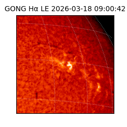 gong - 2026-03-18T09:00:42