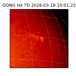 gong - 2026-03-18T10:01:22