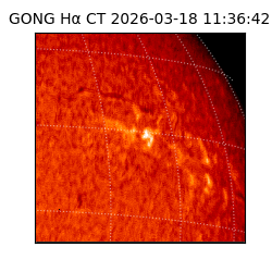 gong - 2026-03-18T11:36:42