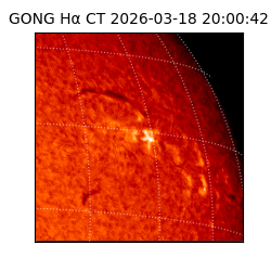gong - 2026-03-18T20:00:42