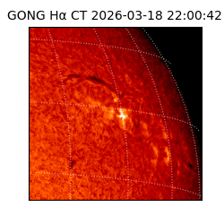 gong - 2026-03-18T22:00:42