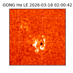 gong - 2026-03-18T02:00:42