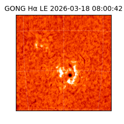 gong - 2026-03-18T08:00:42
