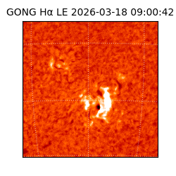 gong - 2026-03-18T09:00:42