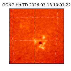 gong - 2026-03-18T10:01:22
