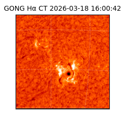 gong - 2026-03-18T16:00:42