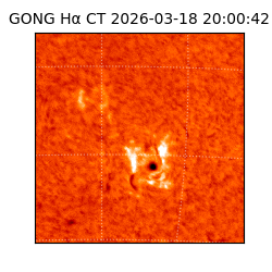 gong - 2026-03-18T20:00:42
