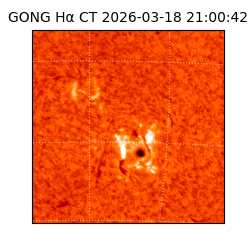 gong - 2026-03-18T21:00:42