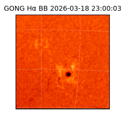 gong - 2026-03-18T23:00:03