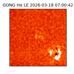 gong - 2026-03-18T07:00:42