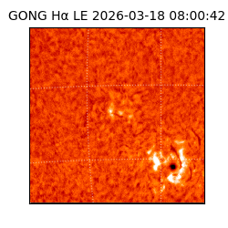 gong - 2026-03-18T08:00:42