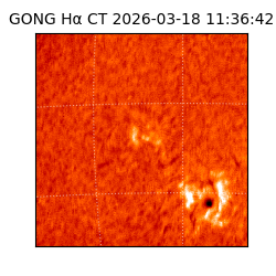 gong - 2026-03-18T11:36:42