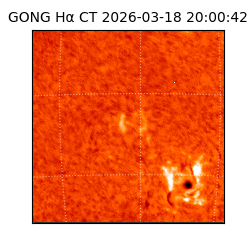 gong - 2026-03-18T20:00:42
