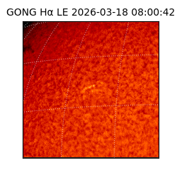 gong - 2026-03-18T08:00:42