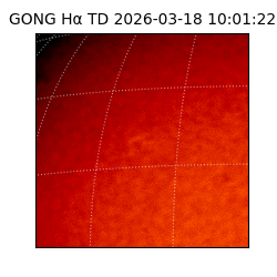 gong - 2026-03-18T10:01:22