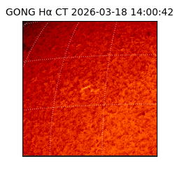 gong - 2026-03-18T14:00:42