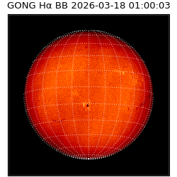 gong - 2026-03-18T01:00:03