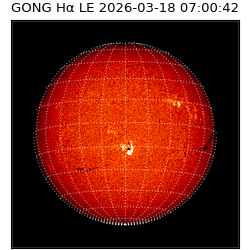 gong - 2026-03-18T07:00:42