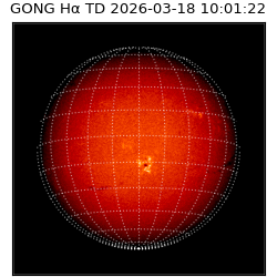 gong - 2026-03-18T10:01:22