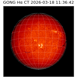 gong - 2026-03-18T11:36:42