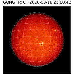 gong - 2026-03-18T21:00:42
