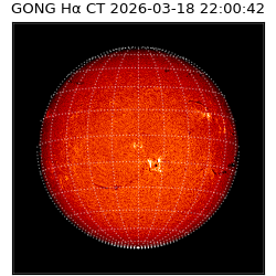 gong - 2026-03-18T22:00:42