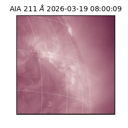 saia - 2026-03-19T08:00:09.632000