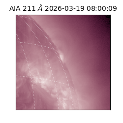 saia - 2026-03-19T08:00:09.632000