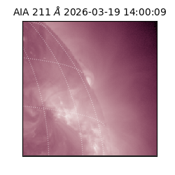 saia - 2026-03-19T14:00:09.624000