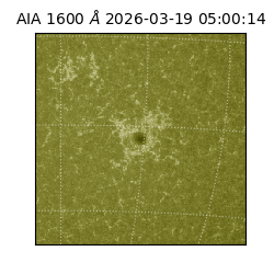 saia - 2026-03-19T05:00:14.130000