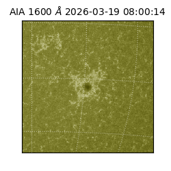 saia - 2026-03-19T08:00:14.123000