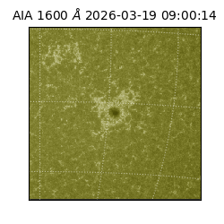 saia - 2026-03-19T09:00:14.124000