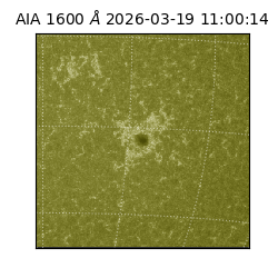 saia - 2026-03-19T11:00:14.123000