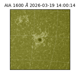 saia - 2026-03-19T14:00:14.130000