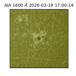 saia - 2026-03-19T17:00:14.131000