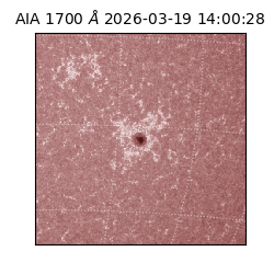 saia - 2026-03-19T14:00:28.446000