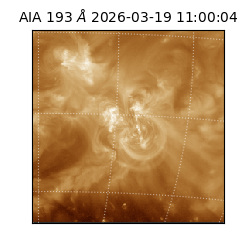 saia - 2026-03-19T11:00:04.842000