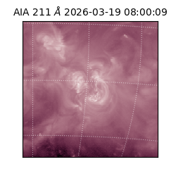 saia - 2026-03-19T08:00:09.632000