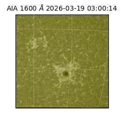 saia - 2026-03-19T03:00:14.123000