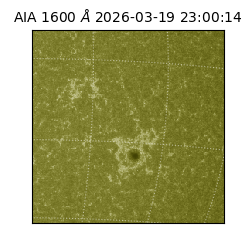 saia - 2026-03-19T23:00:14.124000