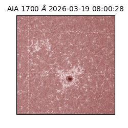 saia - 2026-03-19T08:00:28.446000