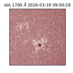 saia - 2026-03-19T09:00:28.450000