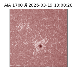 saia - 2026-03-19T13:00:28.446000